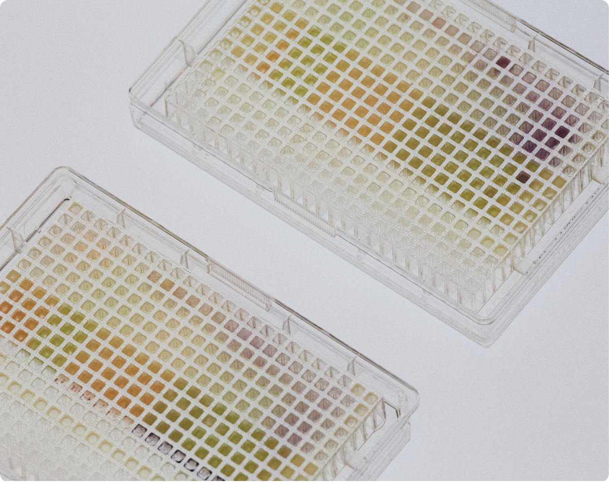 Two lab well plates filled with colourful samples.