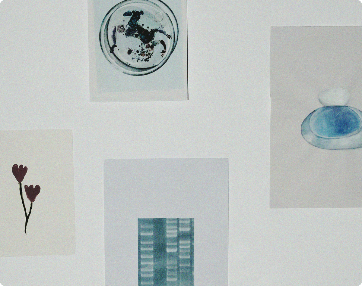 Petri dishes and sketches pinned to a wall at Arcaea Labs.