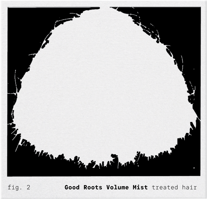 Fig. 2: silhouette of a hair swatch treated with Good Roots Volume Mist, full and round.